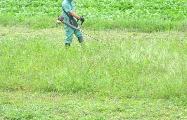 お庭の草刈り・伐採作業