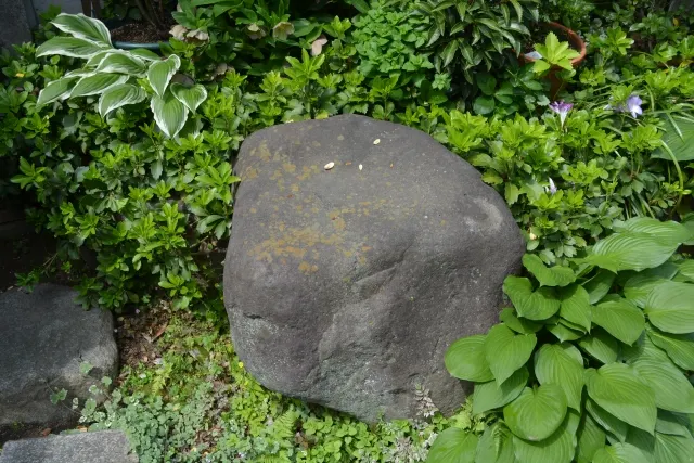 庭石・コンクリートブロックの処分